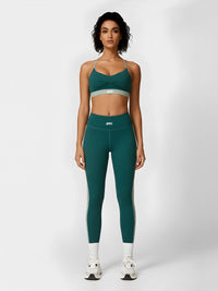 Lina-Flex Training Set